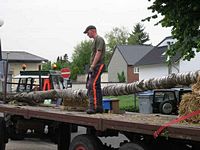 Maibaum der Feuerwehr