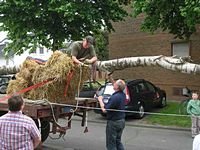 Maibaum der Feuerwehr