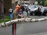 Maibaum der Feuerwehr