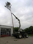 Maibaum der Feuerwehr