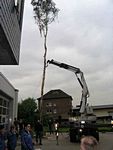 Maibaum der Feuerwehr