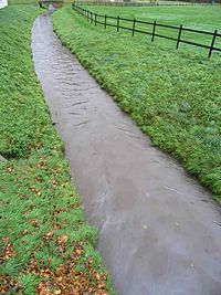 Ölfilm auf dem Neffelbach