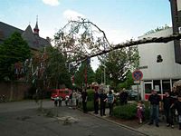 Maibaum der Feuerwehr