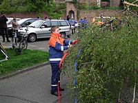 Maibaum der Feuerwehr