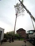 Maibaum der Feuerwehr