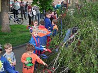 Maibaum der Feuerwehr