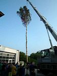 Maibaum der Feuerwehr