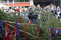 Maibaum der Feuerwehr