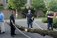 Maibaum der Feuerwehr