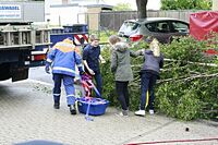 Maibaum der Feuerwehr