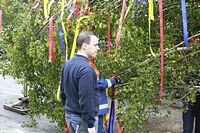 Maibaum der Feuerwehr