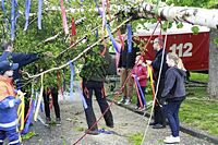 Maibaum der Feuerwehr