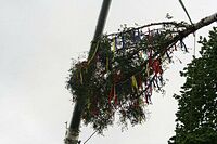 Maibaum der Feuerwehr