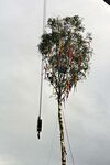 Maibaum der Feuerwehr