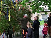 Maibaum der Feuerwehr