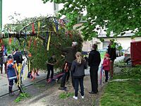 Maibaum der Feuerwehr