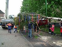 Maibaum der Feuerwehr