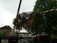 Maibaum der Feuerwehr