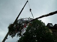 Maibaum der Feuerwehr