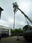 Maibaum der Feuerwehr