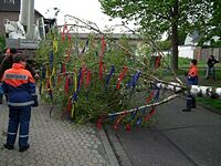 Maibaum der Feuerwehr