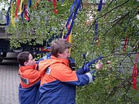 Maibaum der Feuerwehr