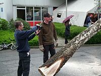 Maibaum der Feuerwehr