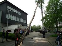 Maibaum der Feuerwehr