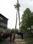 Maibaum der Feuerwehr