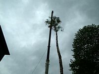 Maibaum der Feuerwehr