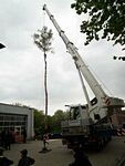 Maibaum der Feuerwehr