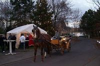 Nikolausfest des Gartenbauvereins