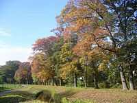 Herbst 2009