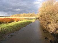 Hochwasser