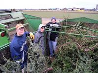 Weihnachtsbaum-Sammlung 2005