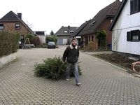 Weihnachtsbaum-Sammlung 2005