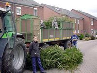 Weihnachtsbaum-Sammlung 2005