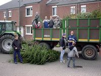 Weihnachtsbaum-Sammlung 2005