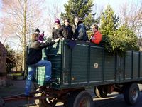 Weihnachtsbaum-Sammlung 2006