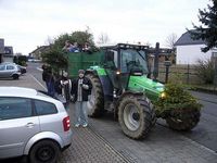 Weihnachtsbaum-Sammlung 2007