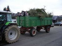 Weihnachtsbaum-Sammlung 2007