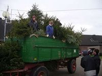 Weihnachtsbaum-Sammlung 2007