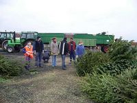 Weihnachtsbaum-Sammlung 2007