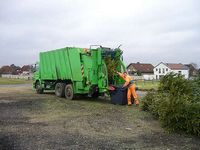 Weihnachtsbaum-Sammlung 2007