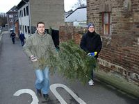 Weihnachtsbaum-Sammlung 2007