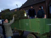 Weihnachtsbaum-Sammlung 2007