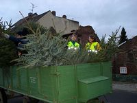 Weihnachtsbaum-Sammlung 2007