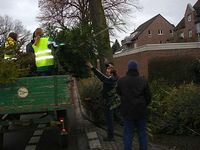 Weihnachtsbaum-Sammlung 2007