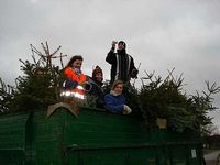 Weihnachtsbaum-Sammlung 2007