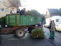 Weihnachtsbaum-Sammlung 2011